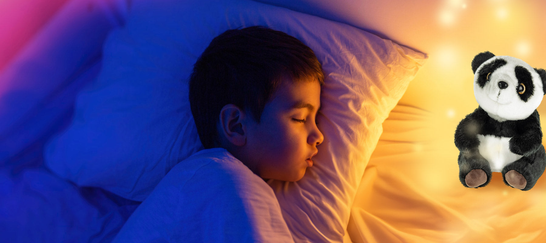 Child sleeps with panda panda bear